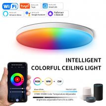 AC85-265V Tuya WiFi Bluetooth Smart Plafoniera Smart Life APP Alexa Google Home Controllo vocale 24W LED rotondo RGB WW CW Lampada