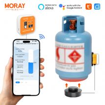 Moray ME204R Gateway Serbatoio del gas Misuratore di temperatura interna Bottiglia Propano Butano GPL Sensore di livello del serbatoio