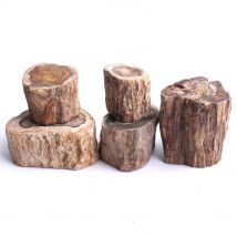 1000g versteinerter Holz zweig querschnitt mit poliertem Ende-35-75mm Info karten mineral