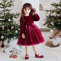 Mädchen Prinzessin Rot Samt Kleid Frühling Herbst Kleidung Pailletten Kinder Kleidung Baby Kinder Bogen Mode Tüll Lange Ärmel Kleider