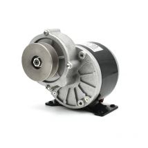 250w 350w 12v 24v 36v my1016z2 my1016z3 DC Zahnrad gebürsteter Motor mit Riemens cheibe, elektrischer Dreirad-Elektro fahrrad motor