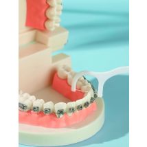 Dr.Yadent Tooth Pick Floss Durable Floss Material No Harm to Your Sensitive Gum Efficiently Removing Residue and Plague