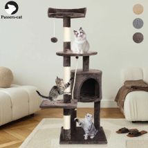 Passerscat Cat Trees Cat Climbing Frame For Indoor Cats Multi-Level With Scratching Posts Cat Tower Padded Top Perches and Condo