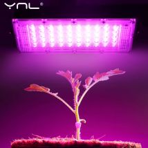 Volle Spektrum LED Wachsen Licht AC220V 50W Phyto Lampe LED Flutlicht Indoor Outdoor Gewächshaus Pflanze Hydrokultur Pflanze Scheinwerfer