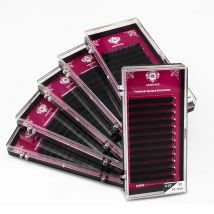 Abonnie 12 Linien individuelle Nerzwimpern Premium Volum Wimpern Tary Fluffy Wimpernverlängerung für Augenschönheits-Make-up