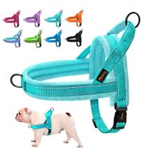 Warme Hundegeschirrweste, Winter-Hundegeschirre, weich gepolstert, Haustier-Trainingsgeschirre, Westen, verstellbar, für kleine große Hunde, Bulldogge, Mops