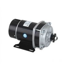 450 W / 500 W DC 24 V 36 V 48 V Bürstengetriebemotor, DC-Getriebe-Bürstenmotor, Direktstrom-Permanentmagnet-Bürstenmotor MY1020ZXFH