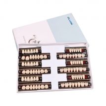 ELIJAH Dental Synthetic Resin Tooth Dental Denture Teeth Upper Anterior Lower Posterior Teeth Economical Tooth Dental Materials