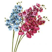 Latex Butterfly Orchid Flowers, 21 Heads, Real Touch Artificial Mini Phalaenopsis Orchid, Good Quality