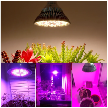 E27Full Spectrum LED Grow Glühbirne 250W LED Grow Phyto Lampe für Hydrokultur Gemüse Gewächshaus Pflanze Blumenwachstumsbeleuchtung