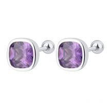 925 Sterling Silber Quadratische Lila Zirkon Ohrstecker für Damen Piercing Luxus Schmuck Großhandel Juwelen Money 925