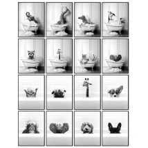 New Arrival Black White Animals In Tub Bathroom Wall Art Canvas Painting Posters and Prints Wall Pictur for Room Decor One Piece