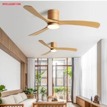 38/46/5Inch Low Floor Ceiling Fan Light ABS Blade DC Remote Control Led Lights Restaurant for Coffee Shop Home Hotel Office