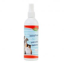 Dental+ spray dental 175ml Spray bucal natural que combate el sarro y el mal aliento Bubimex