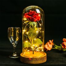 Regali per la sua bellezza e la bestia eterna rosa In cupola di vetro artificiale per sempre fiore LED luce regali per la festa della mamma per le donne