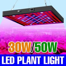50W LED Coltiva La Luce Spettro Completo Phyto Lampada Per Pianta Interno Fiore Verdura Serra Coltiva La Tenda Idroponica IR UV Coltivazione