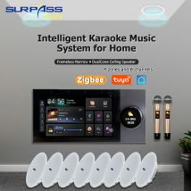 Karaoke 7-calowy ekran dotykowy Android 11 WiFi TUYA ZIGBEE Wzmacniacz Ścienny Inteligentny System Audio Kino Domowe Stereo Zestaw Głośników Sufitowych