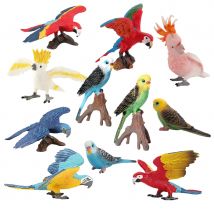 Nymphensittich Figur Papagei Spielzeug Kunststoff Vogel Modell Spielzeug Ara Kakadu Sittich Tier Figuren Action Figur Miniaturen Kinder Geschenke
