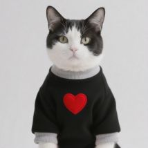 Medium Cat Sweater for Taddy Yorkshire Winter Warm Small Dog Hoodie Love Medium Thickened Cute Puppy Bipedal Clothes Accessories