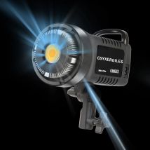 SH 100W Studio fotograficzne Stroboskopowa lampa błyskowa Monolight do portretów ślubnych Reklama