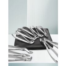 10Pcs/Set Dental Extraction Forceps Kit for Adults Tooth Elevator & Pliers Set Dentist Surgical Instruments Oral Surgery Tools