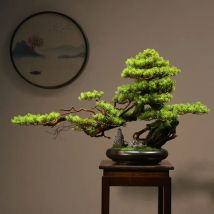 Simulation grün pflanzen begrüßung kiefer bonsai pflanzen ecken und ornamente wohnzimmer