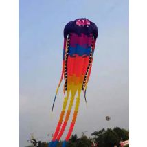 35 m großer alter Trilobiten-Drachen, fliegende Spiele im Freien, professioneller Drachenwagen, Cometa, leuchtende Spielzeuge, Cerf Volant Enfants 	 Cometas