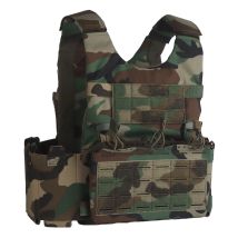 SS Style LV119 Plate Carrier Set 2in1 Fast Switchable Chest Rig for Airsoft Hunting Vest Lightweight Carry Tiger Stripe Camo Mag