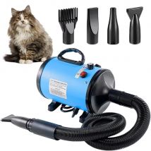 Haustier-Wassergebläse, Haartrockner für große Hunde, hohe Leistung, geräuscharm, starker Wind, schnell trocknend, goldenes Haar, Hunde-Blow-Box, Haustierbedarf