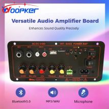 Woopker Leistungsverstärkerplatine D300 Audioverstärkungsplatine 600 W Bluetooth 5.0 Dual-Mikrofone unterstützen USB/TF/AUX/FM-Radio