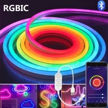 DC5V RGBIC Neon LED Streifen Lichter Neon Lichterkette mit Musik Sync DIY RGBIC Dreamcolor Chasing Streifen Klebeband für Home Decor Beleuchtung