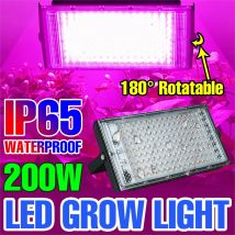 200W LED Pflanze Wachsen Licht Gesamte Spektrum Indoor Gewächshaus Blume Sämling Hydrokultur Wachstum Box Zelt Gemüse Anbau Lampe