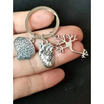 LLavero de anatomía médica, llavero con forma de cerebro, corazón, células nerviosas, cadena para bolso de médico y enfermera, regalo de joyería, 1 pieza