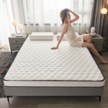 Latex Matratze Home Hotel Kissen verdickt Schlafsaal Single Double Student Tatami Matratze, Mode Schwamm Matten