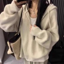 Hochwertige Strickjacke aus reinem Kaschmir mit Reißverschluss und Kapuze für Damen im Herbst und Winter, lockerer Wollmantel, Kapuzenpullover und Wolljacke