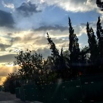 Macchina per birra commerciale più venduta, macchina per birra, macchina per birrificio, distributore di birra