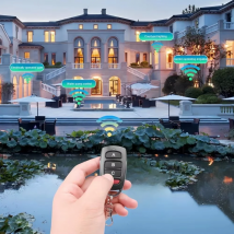 HOMEFISH 2TYPE RF-Fernbedienungsschlüssel 433 MHz Sender Klonen Dupliziertes Kopieren Lernen Fix-Code für elektrisches Garagentor-Auto