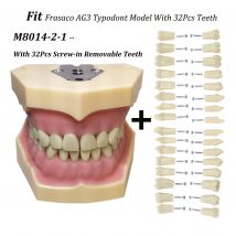 Frasaco AG3 Typodont Fit Dental 32Pcs Screw-in Teeth Model M8014-2-1Practice Filling Soft Gum Gingivae With Replacement Teeth