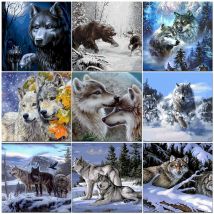 Malen nach Zahlen Wolf Öl Bilder für Erwachsene DIY Bastelsets Rahmen auf Leinwand Acrylfarbe Malen nach Zahlen Dekoration Kunst