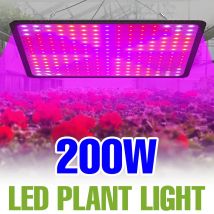 200W LED Pianta Coltiva La Luce Spettro Completo Quantum Board Lampada Serra Interna Fiore Coltivazione di Verdure Idroponica Spina UE/USA
