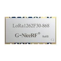 2 teil/los lora1262F30 868 MHz SX1262 33dBm -148dBm TCXO Hohe Empfindlichkeit niedrigen strom 2W SPI port Lora Modul
