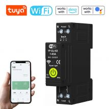 Tuya WiFi Interruttore automatico intelligente ON OFF Temporizzazione Misuratore di energia bidirezionale fotovoltaico Protezione di richiusura automatica 1-63A