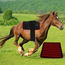 Guter Verkauf 660nm 850nm Schmerz linderung Rotlicht LED-Therapie gürtel für Pferde tier