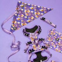 Tanzendes Narzissen-Serie Haustier-Brustgeschirr/Halsband/Leine und Handtuch, geeignet für kleine große Hunde, Haustierzubehör mit Blumenmuster
