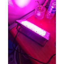 Lampa LED do uprawy roślin AC 220V Pełne Spektrum Światła Fito Lampy do Szklarni Hydroponiki Światło do Wzrostu Roślin LED UV Reflektor 50W 100W 200W 300W