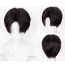 ND Levi Ackerman Cosplay Wigs Attack on Titan Anime Cosplay Short Black Hair Wigs for Comic Con Coser Heat Resistant Synthetic