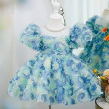 Wunderschöne Rose Mädchen Spitze Kleid Geburtstags feier Prinzessin Kleid Blumen junge romantische Hochzeits kleid geeignet für Mädchen im Alter von 2-10 in 20