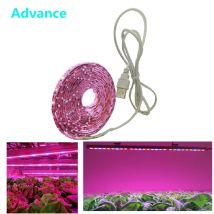 LED Wachsen Licht Gesamte Spektrum USB Wachsen Licht Streifen 0,5 m 1m 2m 2835 Chip LED Phyto Lampe für Pflanzen Blumen Gewächshaus Hydrokultur