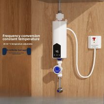 Scaldabagno istantaneo 220V 3000W-5500W Riscaldatori elettrici portatili per bagno Doccia acqua calda e riscaldamento cucina domestica