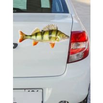 Tri mishki W1115 3D Fish River Perch Car Sticker PVC Decals Motorcycle Accessories sticker on Car Truck Bumper Laptop Fridge